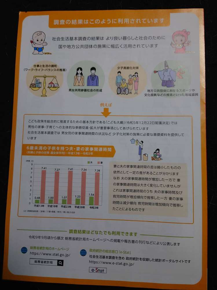 社会生活基本調査裏